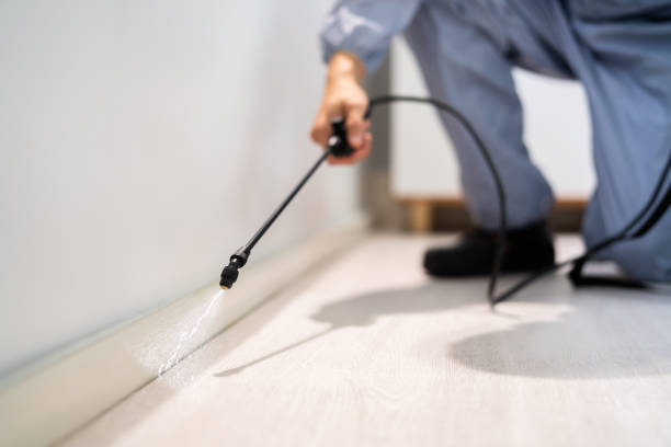 Licensed Rodent Control service in Dillon County County, SC - Nex Pest Control